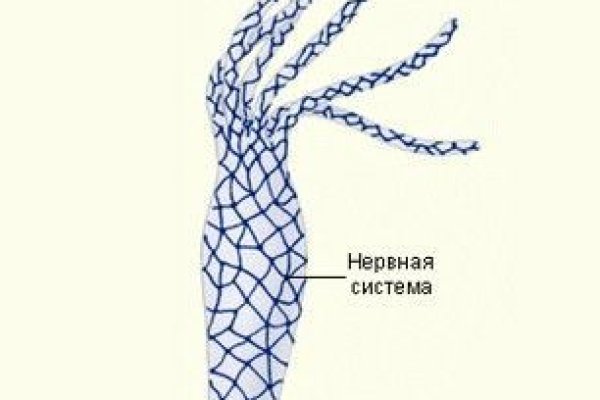 Магазин кракен даркнететамбов