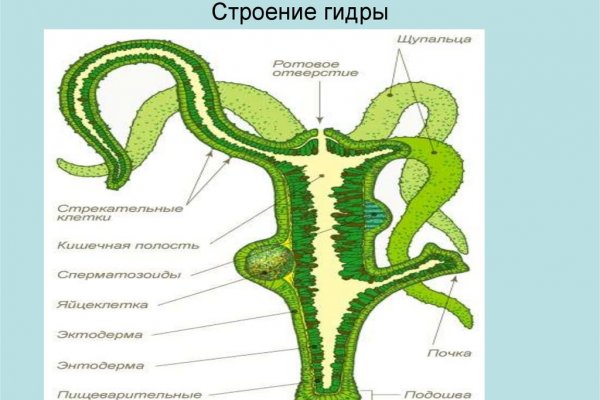 Кракен актуальная
